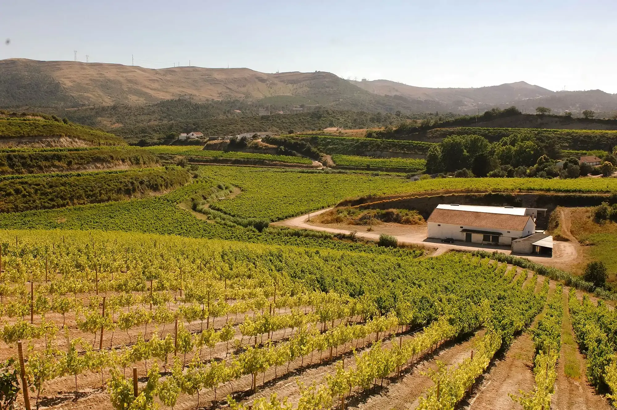 Quinta do Boição