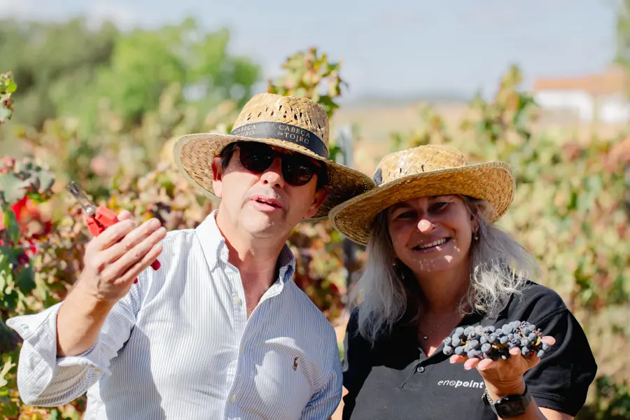 Um Dia na Vindima (Evento Sazonal)