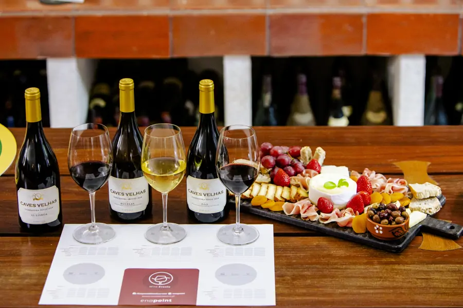 Harmonização de Vinhos & Queijos