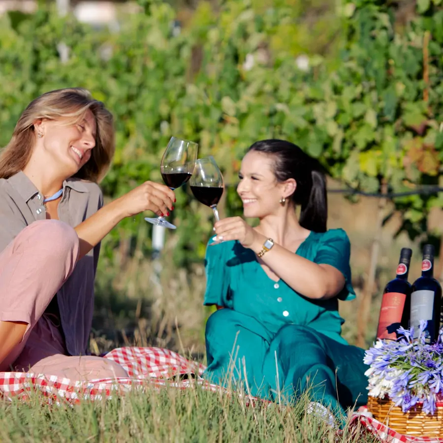 Piquenique & Caminhada pelas Vinhas