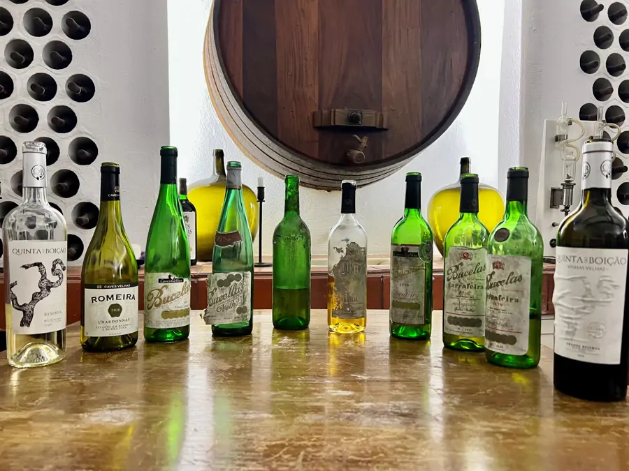 Encontro Entre Vinho & História
